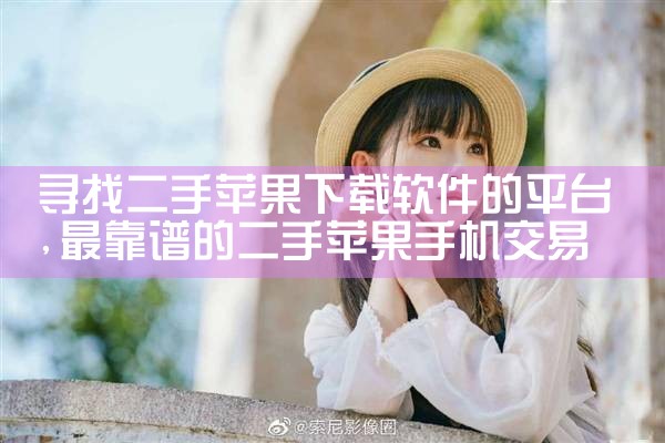 寻找二手苹果下载软件的平台