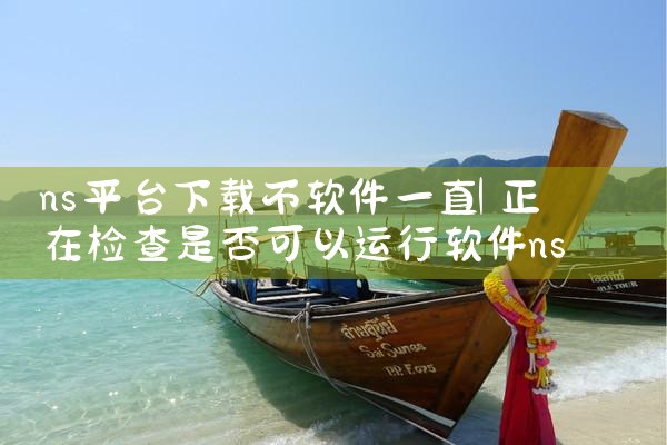 ns平台下载不软件一直