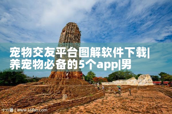 宠物交友平台图解软件下载|男娘日记