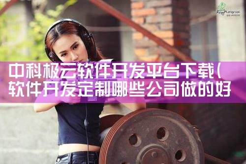 中科极云软件开发平台下载