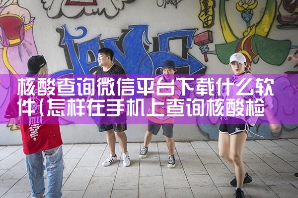 核酸查询微信平台下载什么软件