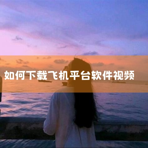 btok飞机聊天软件怎么下载,纸飞机保存不了视频怎么回事,大疆飞机未插SD卡 怎么导出原高清视频,男娘日记