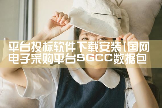 平台投标软件下载安装|男娘日记