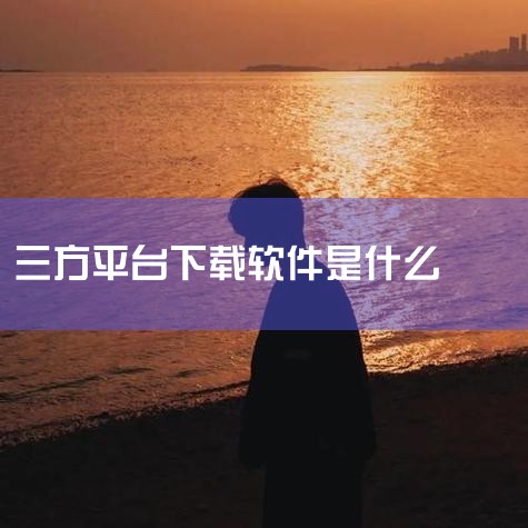 第三方下载平台是一种提供软件、游戏、音乐、电影等数字内容下载服务的平台。第三方下载平台是互联网数字内容分发的重要渠道之一。它们提供大量从各种来源获取的数字化资源供用户下载。第三方下载平台通过互联网为用,