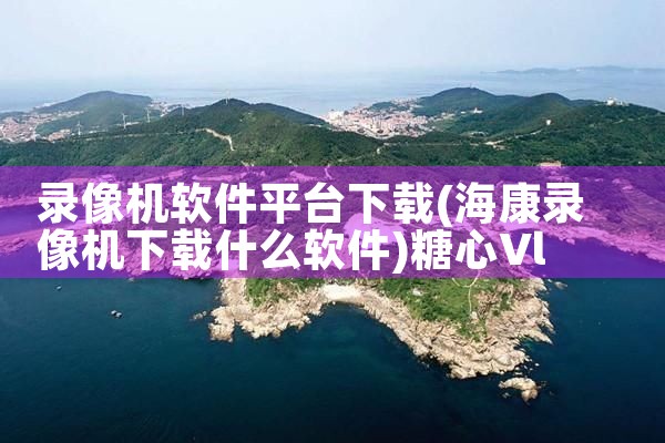 录像机软件平台下载|糖心Vlog入口
