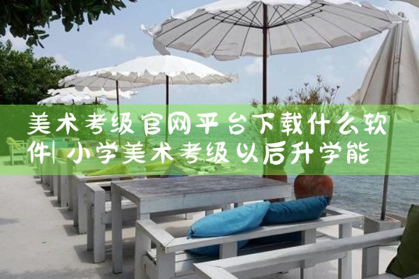 美术考级官网平台下载什么软件