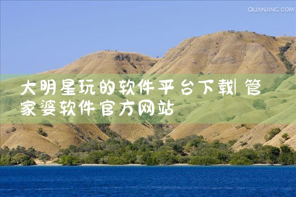大明星玩的软件平台下载