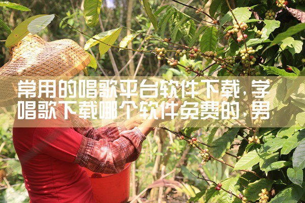 常用的唱歌平台软件下载|男娘日记