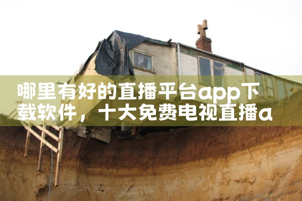 哪里有好的直播平台app下载软件