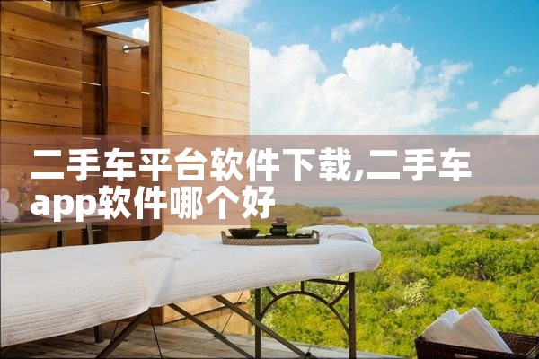 二手车平台软件下载
