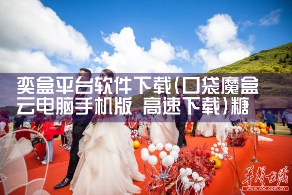 奕盒平台软件下载|糖心Vlog入口