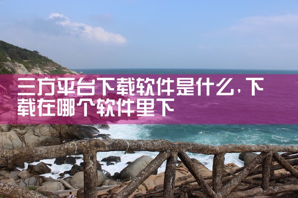 三方平台下载软件是什么