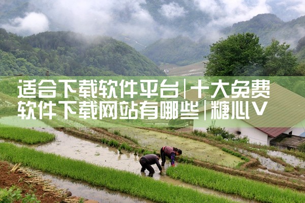 适合下载软件平台|糖心Vlog入口
