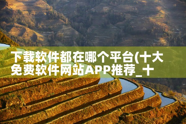 下载软件都在哪个平台|男娘日记